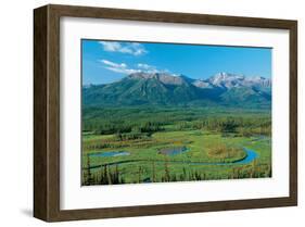 Along Tok Cut Alaska-null-Framed Art Print