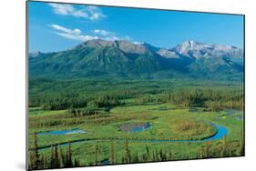 Along Tok Cut Alaska-null-Mounted Art Print