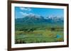 Along Tok Cut Alaska-null-Framed Art Print