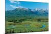 Along Tok Cut Alaska-null-Mounted Art Print