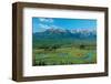 Along Tok Cut Alaska-null-Framed Art Print