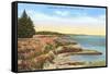 Along West Cliff Drive, Santa Cruz, California-null-Framed Stretched Canvas