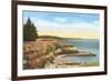 Along West Cliff Drive, Santa Cruz, California-null-Framed Art Print