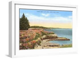 Along West Cliff Drive, Santa Cruz, California-null-Framed Art Print