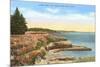 Along West Cliff Drive, Santa Cruz, California-null-Mounted Premium Giclee Print