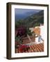 Alonnisos, a Small Greek Island Near Skiathos, Greece-R H Productions-Framed Photographic Print