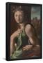 Alonso Berruguete / 'Allegory of Temperance'. 1513 - 1516. Oil on panel.-ALONSO BERRUGUETE-Framed Poster