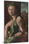 Alonso Berruguete / 'Allegory of Temperance'. 1513 - 1516. Oil on panel.-ALONSO BERRUGUETE-Mounted Poster