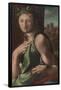 Alonso Berruguete / 'Allegory of Temperance'. 1513 - 1516. Oil on panel.-ALONSO BERRUGUETE-Framed Poster