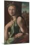 Alonso Berruguete / 'Allegory of Temperance'. 1513 - 1516. Oil on panel.-ALONSO BERRUGUETE-Mounted Poster