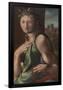 Alonso Berruguete / 'Allegory of Temperance'. 1513 - 1516. Oil on panel.-ALONSO BERRUGUETE-Framed Poster