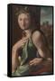 Alonso Berruguete / 'Allegory of Temperance'. 1513 - 1516. Oil on panel.-ALONSO BERRUGUETE-Framed Stretched Canvas