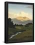 Essential Black