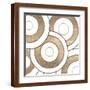 Brown Frame
