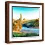 Brown Frame