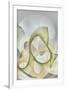Gramercy White