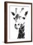 Brown Frame