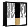 Canvas Black