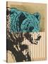 Stretched Canvas