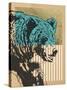 Stretched Canvas