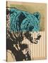 Stretched Canvas