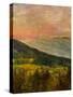 Stretched Canvas