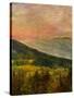 Stretched Canvas