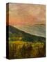 Stretched Canvas