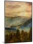 Wood Mount