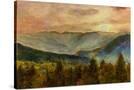 Stretched Canvas