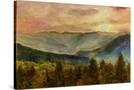 Stretched Canvas
