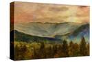Stretched Canvas
