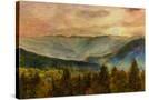 Stretched Canvas