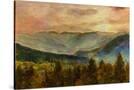 Stretched Canvas