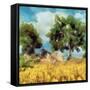 Canvas Black