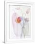 Gramercy White