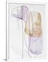 Gramercy White