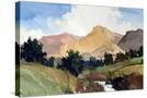 Stretched Canvas