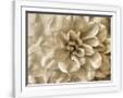 Gramercy White