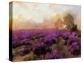 Stretched Canvas