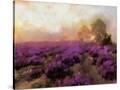 Stretched Canvas