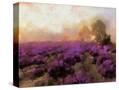 Stretched Canvas