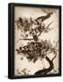 Essential Black