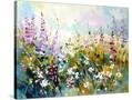 Stretched Canvas