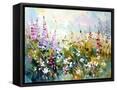 Framed Canvas