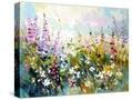 Stretched Canvas