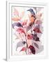 Gramercy White