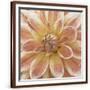 Chelsea Espresso