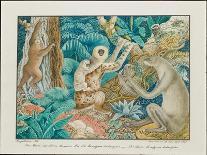 The White Bear, 1844-Aloys Zotl-Giclee Print