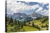Alp Close Corvara, 'Puezgruppe' (Mountain Range) Behind, the Dolomites, South Tyrol, Italy, Europe-Gerhard Wild-Stretched Canvas